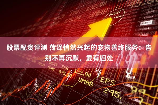 股票配资评测 菏泽悄然兴起的宠物善终服务：告别不再沉默，爱有归处